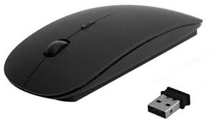 Mouse