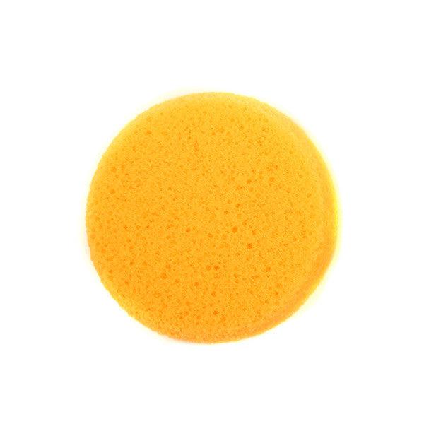 Sponge