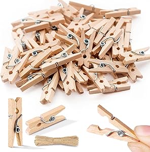 Mini Clothes Pins